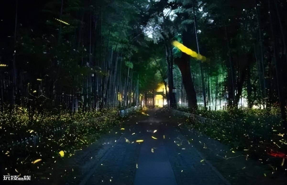 杭州晚上哪里好玩的地方(杭州夜市最热闹的地方在哪)-图片3